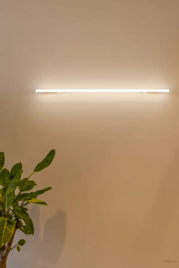 따뜻한 간접조명이 만드는 아늑한 오피스 무드